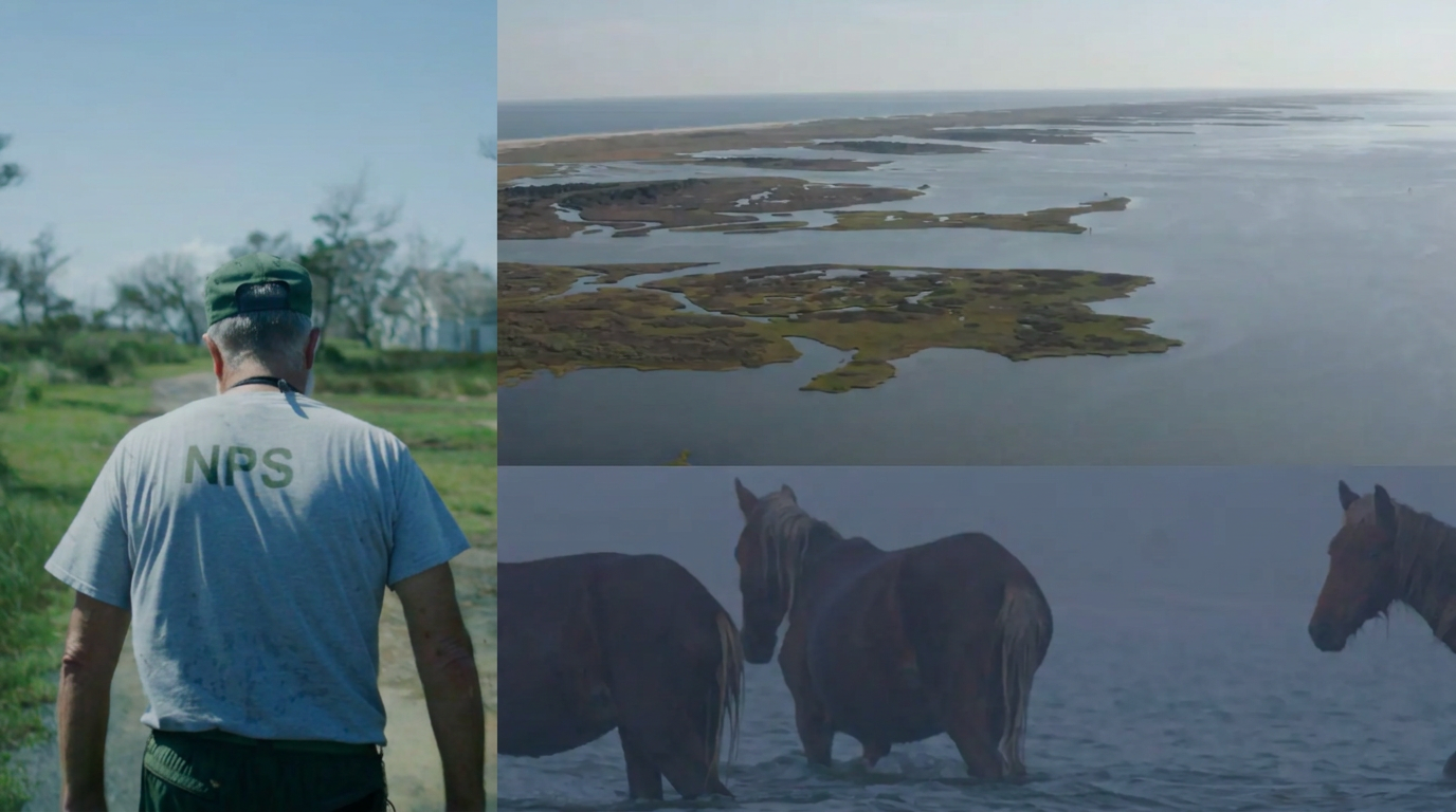 Born Wild — an NPS worker, the Outer Banks island channels, and wild horses in the water